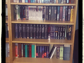 Bücherregal IV
