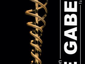 F. Paul Wilson - Die Gabe